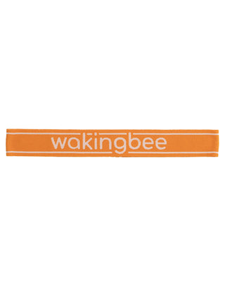 WB Headband (Amber)