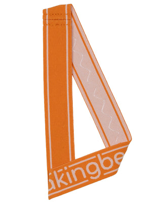 WB Headband (Amber)